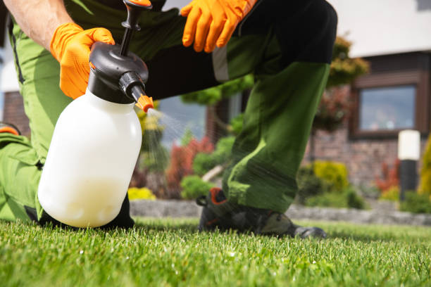 Best Best Pest Control Companies  in Winterville, NC