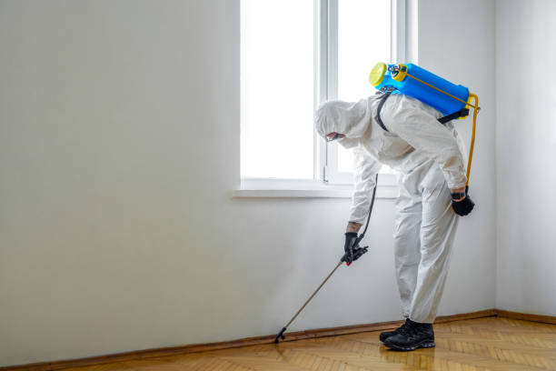 Best Rat Extermination Near Me  in Winterville, NC