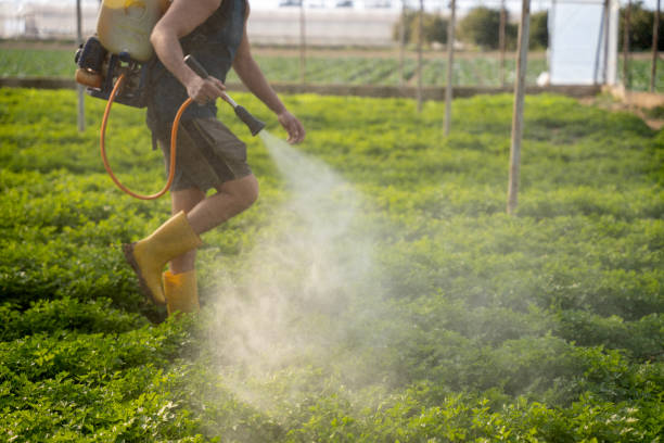Best Ant Control Services  in Winterville, NC