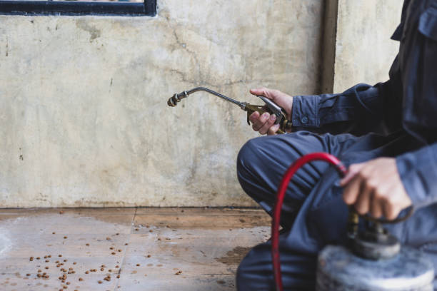 Best Flea Control Services  in Winterville, NC