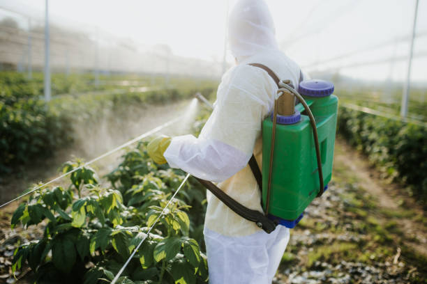 Best Best Pest Control Companies  in Winterville, NC